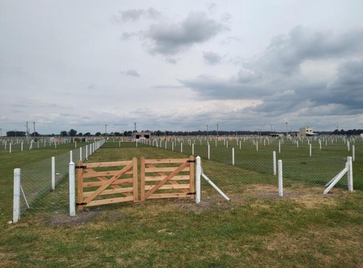 Terreno · 380m²