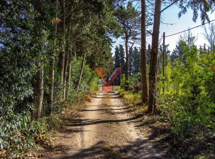 Terreno · 1700m²