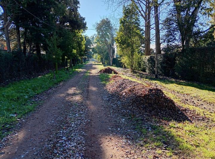 Terreno · 50m²
