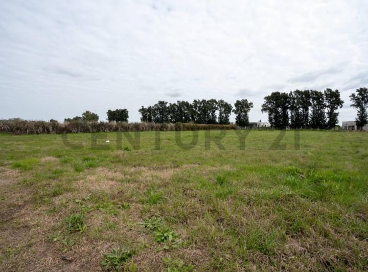 Terreno · 2482m²