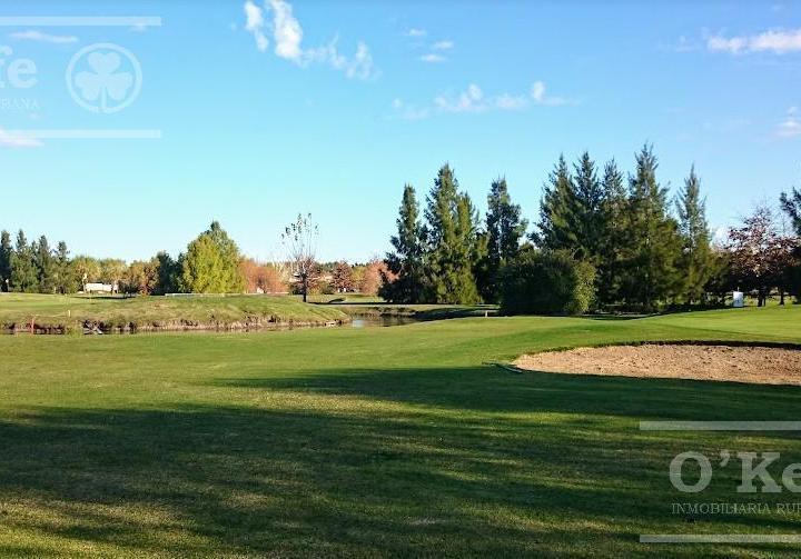 Terreno · 1070m²