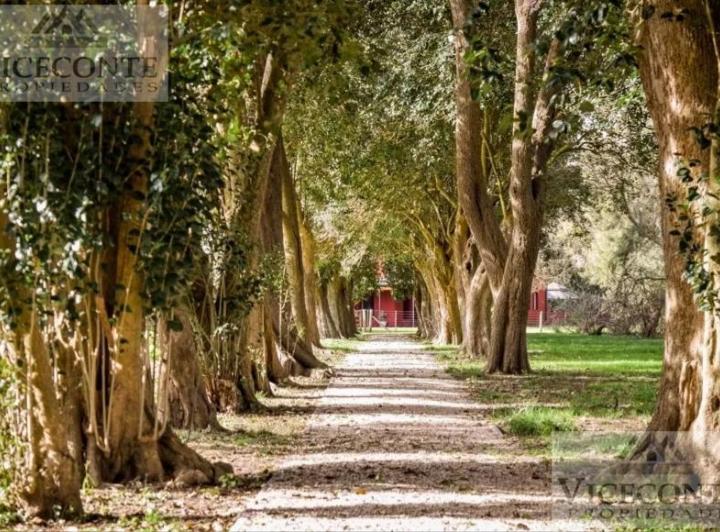 Terreno · 1m²