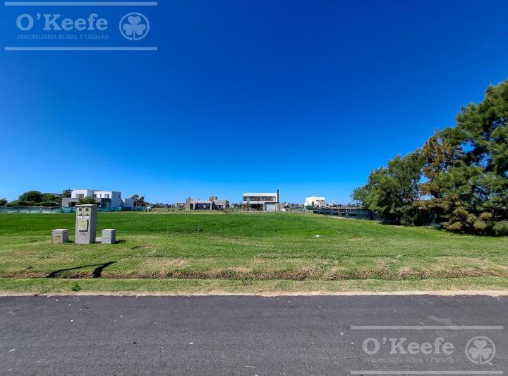 Terreno · 1001m²