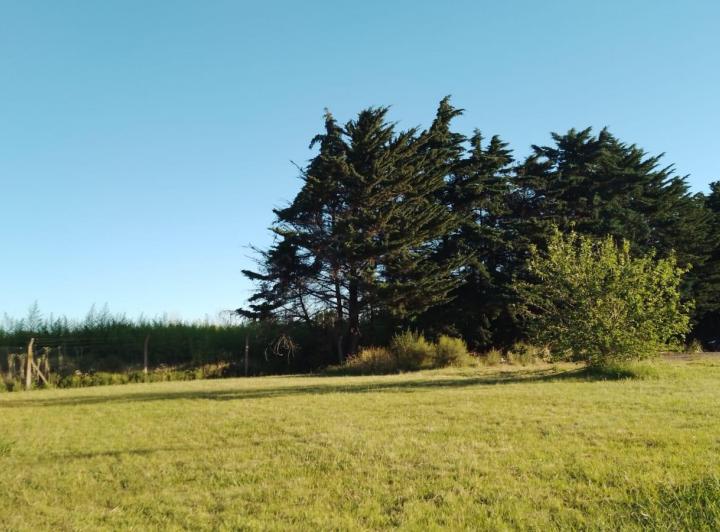 Terreno · 330m²