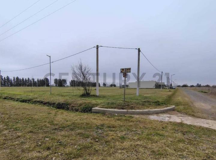 Terreno · 338m²