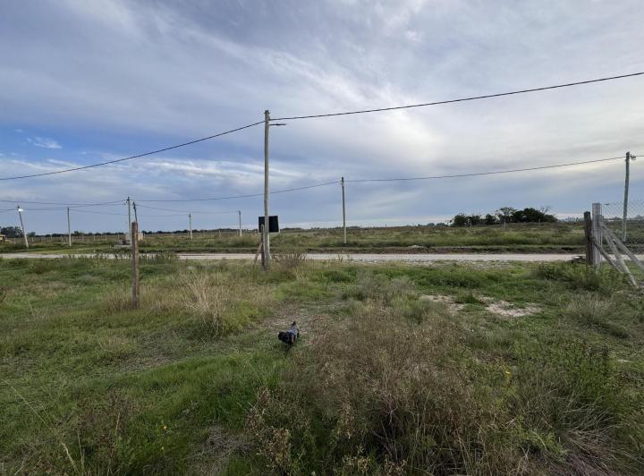 Terreno · 300m²