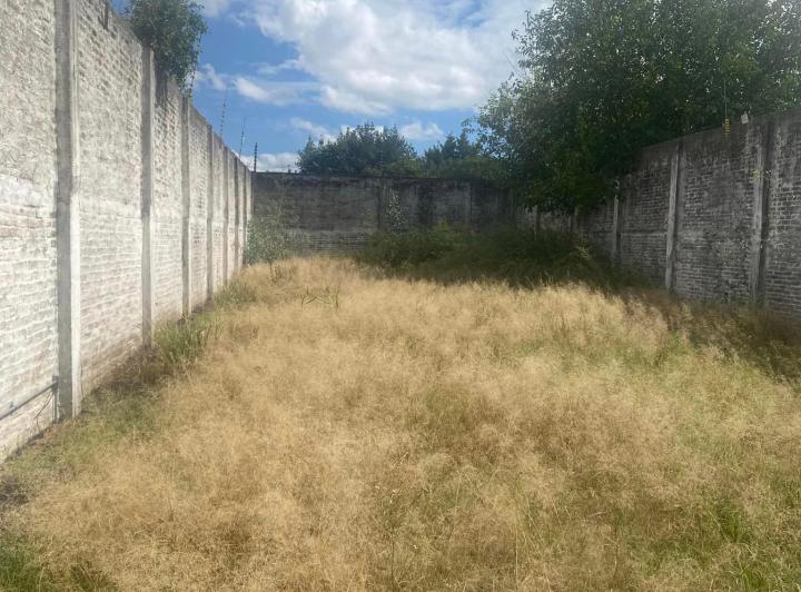 Terreno