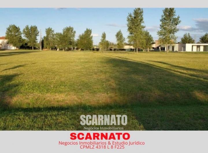 Terreno · 25000000ha