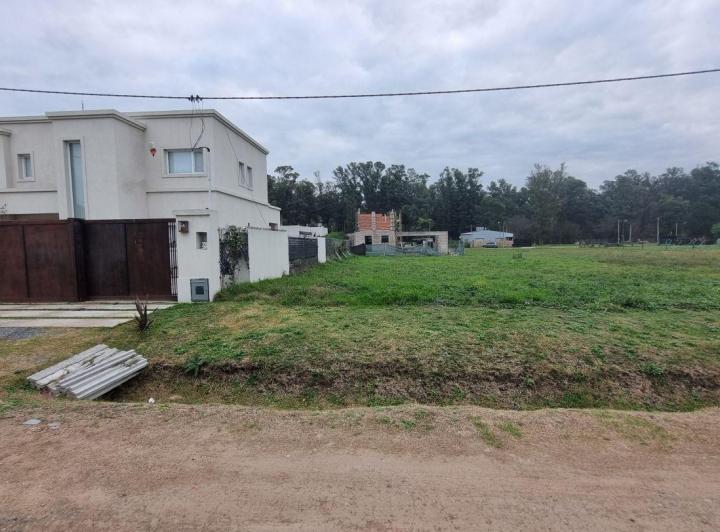 Terreno · 648m²
