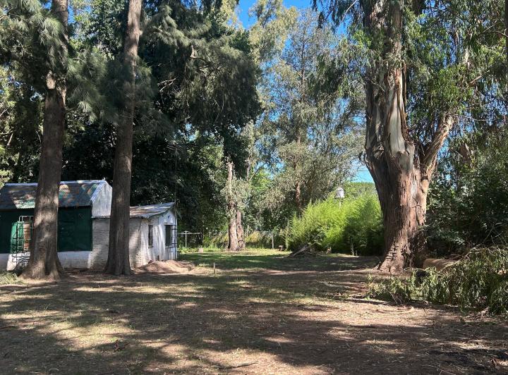 Terreno · 1m²