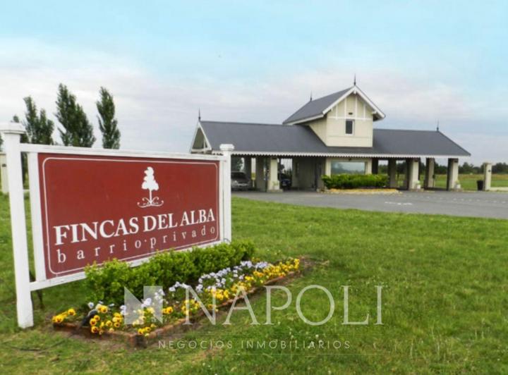 Terreno · 1236m²
