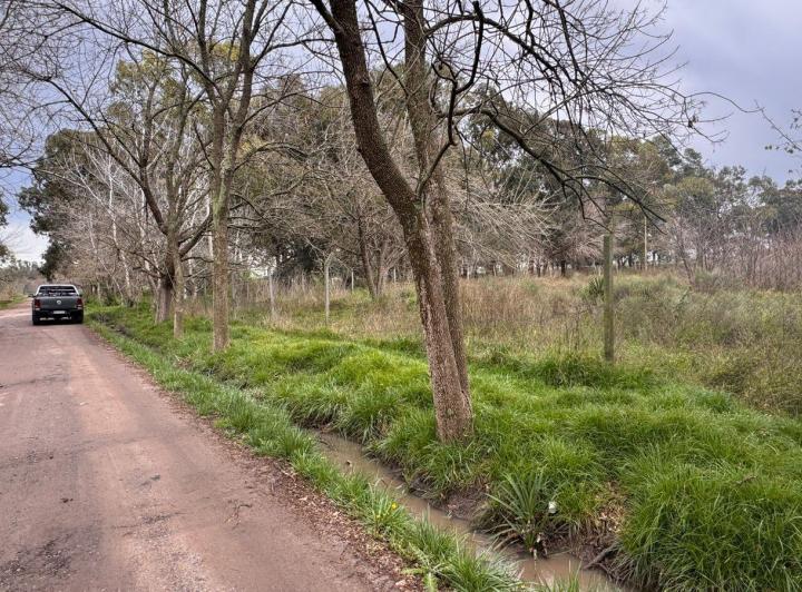 Terreno · 1900m²