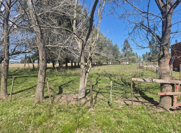 Terreno · 1040m²