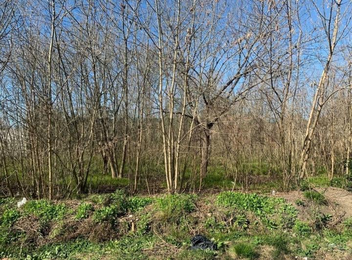 Terreno · 470m²