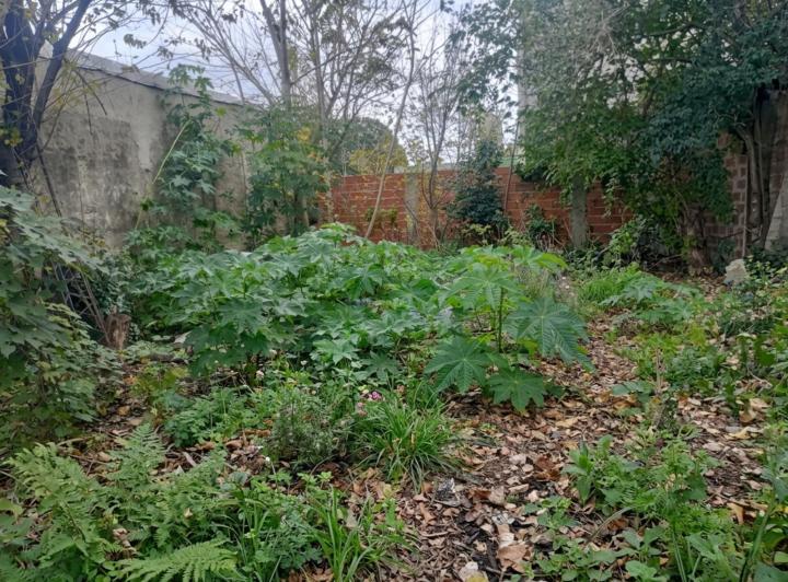 Terreno · 346m²