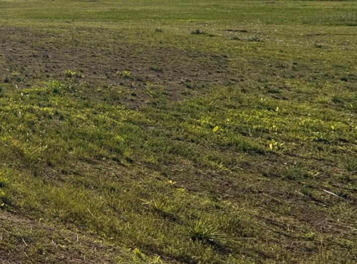 Terreno · 50m²