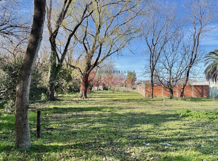Terreno · 612m²