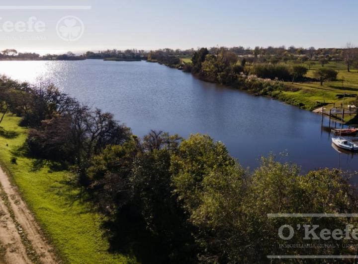 Terreno · 890m²