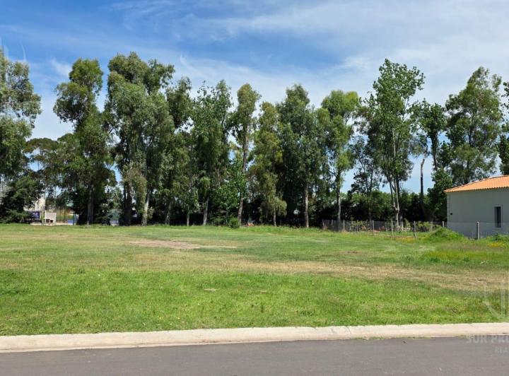 Terreno · 1000m²