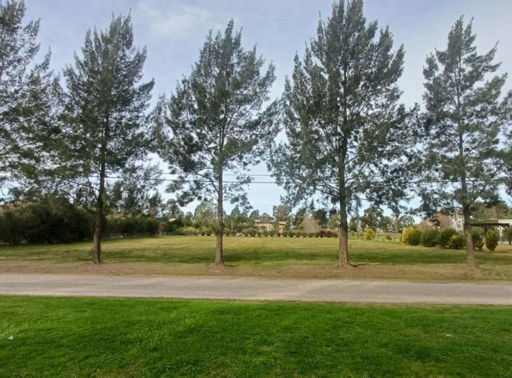 Terreno · 2250m²