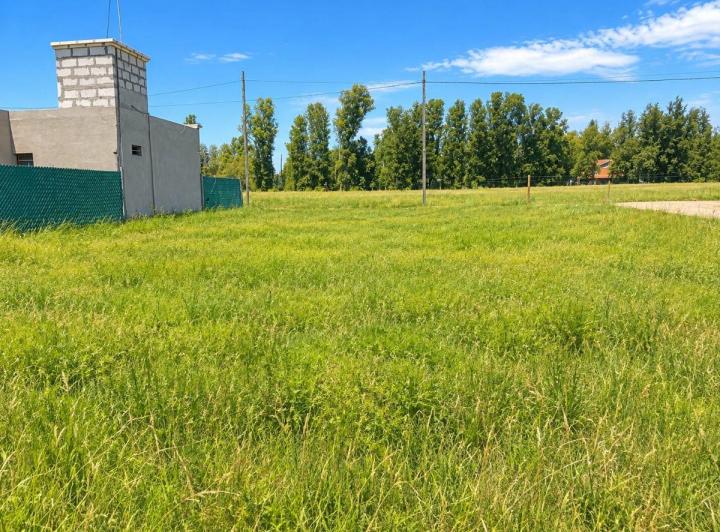 Terreno · 341m²
