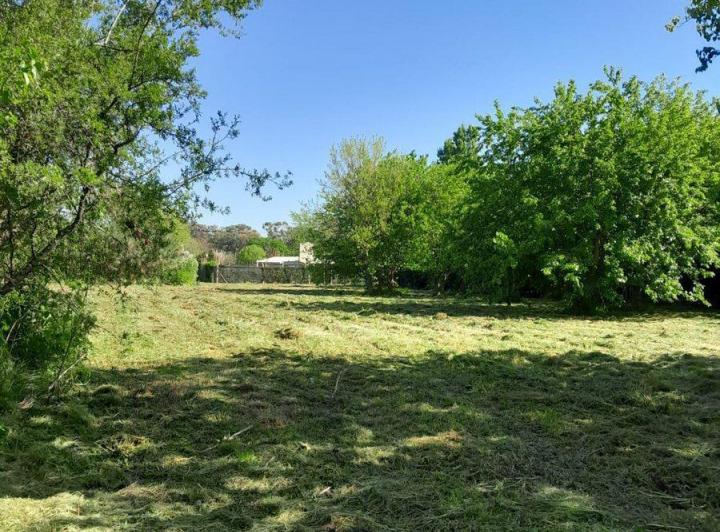 Terreno · 2774m²