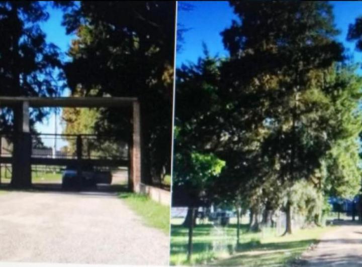 Terreno · 1000m²