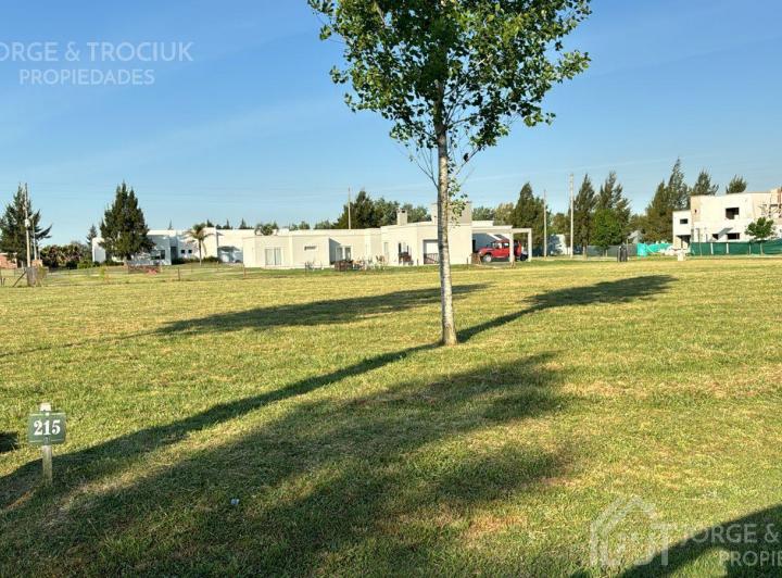 Terreno · 2185m²