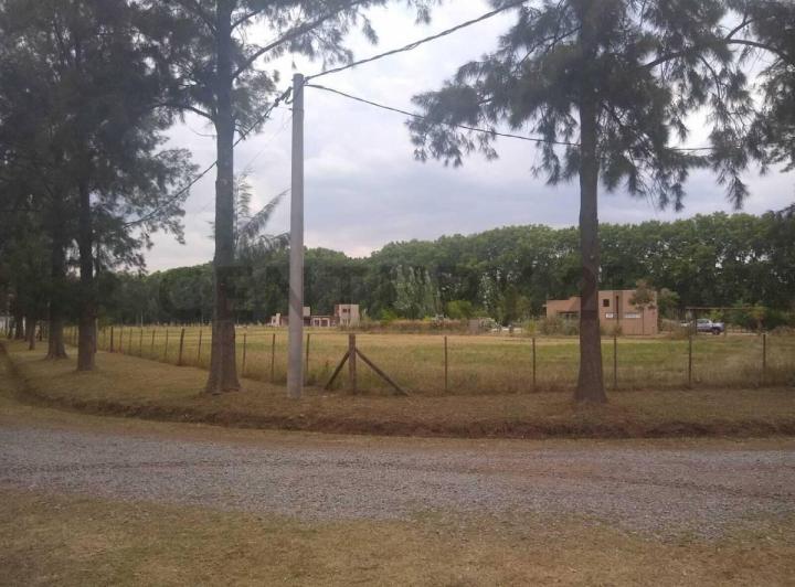 Terreno · 3920m²