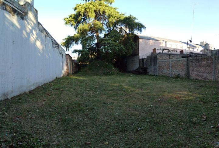 Terreno · 542m²
