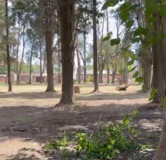 Terreno · 300m²