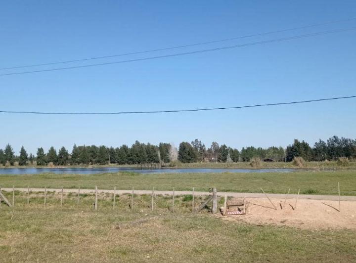 Terreno · 12990m²