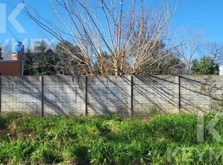 Terreno · 316m²
