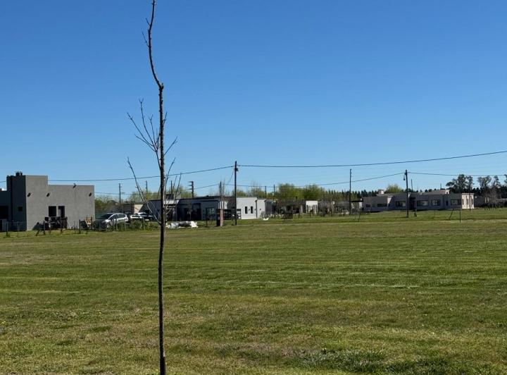 Terreno · 1082m²