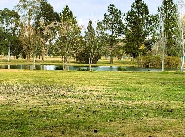 Terreno · 1260m²