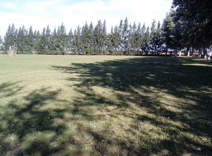 Terreno · 1000m²
