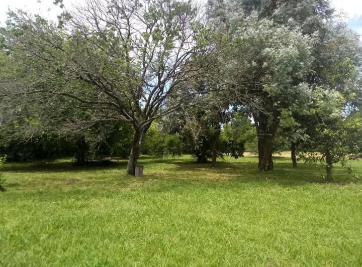 Terreno · 98m² · 4 Ambientes