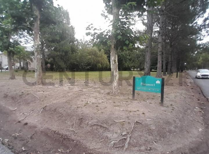 Terreno · 1195m²