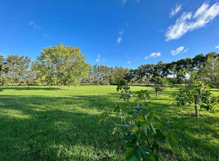 Terreno · 800m²
