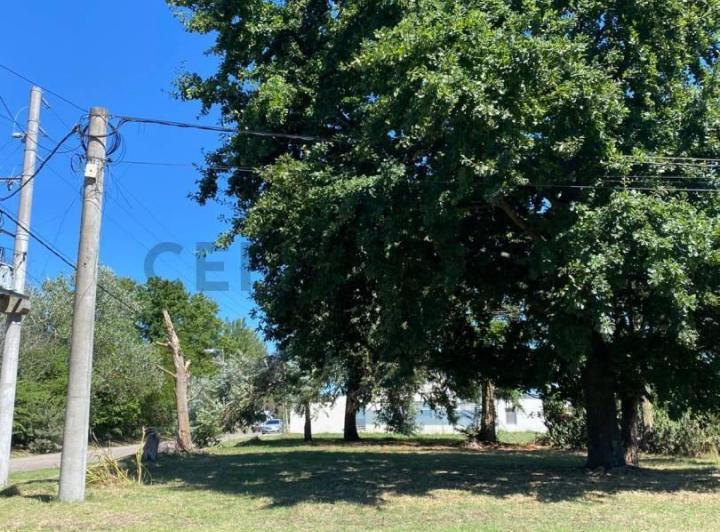 Terreno · 711m²