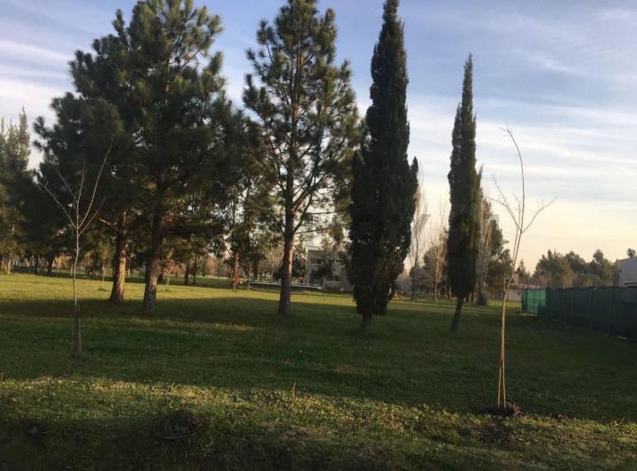 Terreno · 1143m²