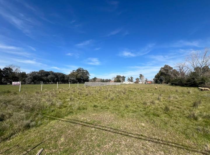 Terreno · 5000m²