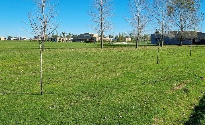 Terreno · 2333m²