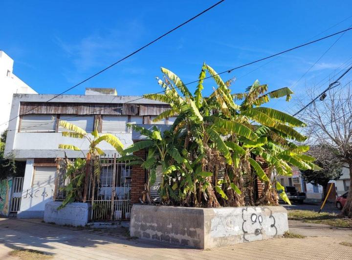 Terreno · 392m²