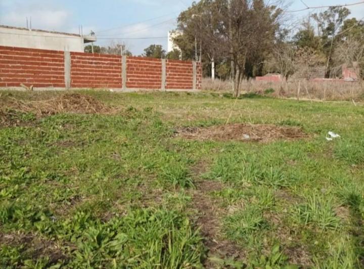Terreno · 316m²