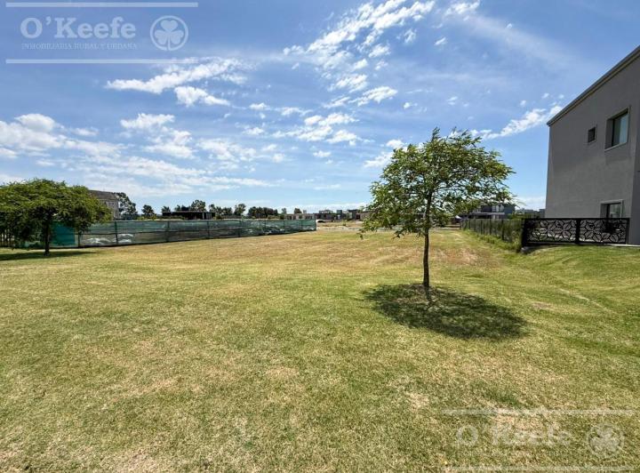 Terreno · 741m²