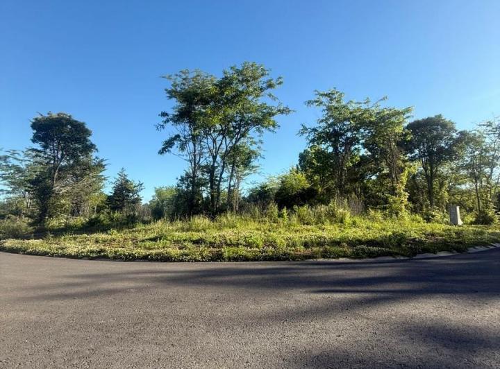 Terreno · 635m²
