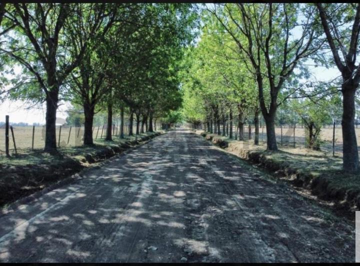 Terreno · 504m²