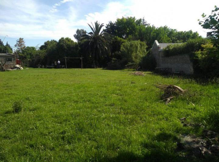Terreno
