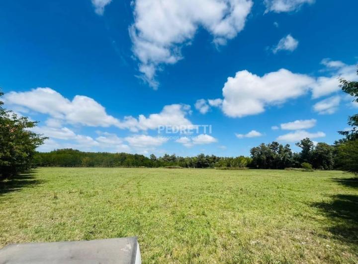 Terreno · 5000m²